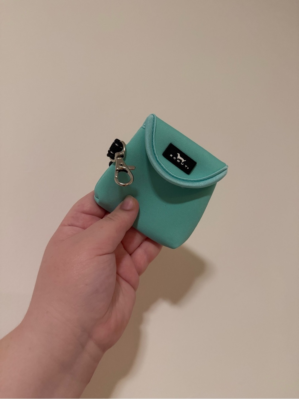 Scout Best Bud Earbud Case in Ocean Blue